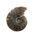 UUKU