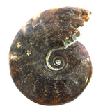 UUKU