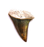 PILIKIA