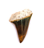 PILIKIA