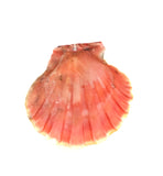 HULA
