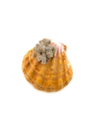 LĀ