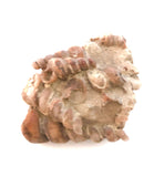 KŪKĀ